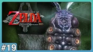 The Legend of Zelda: Twilight Princess HD &bull; Episode 19 | Insect Queen