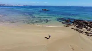 DJI Neo 2: Beach Doggie Tracking and UNDERSEA Exploration!