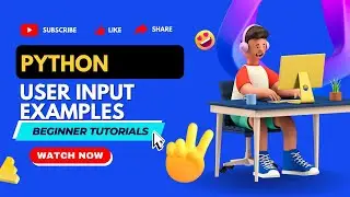 python for beginners , User input examples in python #python