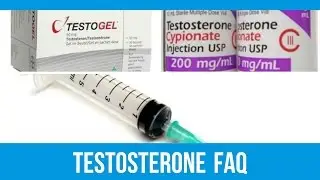 WHAT IS TESTOSTERONE? | TESTOSTERONE FAQ | jayistransandboring