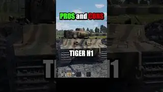 Pros and Cons of the Tiger H1