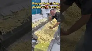 Come on bro, Frozen French fries production is ready in our client's factory #frozen french fries