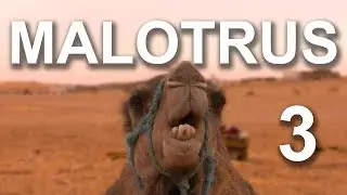LES MALOTRUS 3 - PAROLE D'ANIMAUX