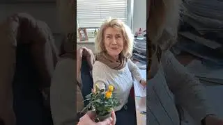 Happy Weltfrauentag! 🌸 | Hoppmann Autowelt