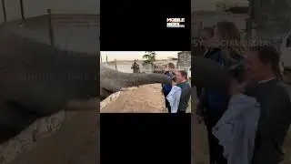 Elephant Attacked Girl Taking Photo: Elephant Massive Attack By His Trunk On A Girl