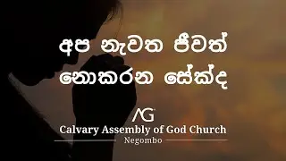 Will You not revive us again? | Rev. Thusitha | 25th Jan 2026 | Sinhala Sermon | AOG Negombo