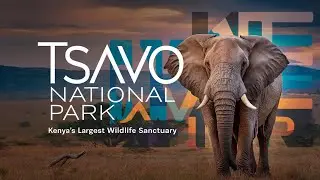 Tsavo National Park Kenya&rsquo;s Largest Wildlife Sanctuary