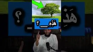 ARABIC WORDS QUIZ 31 - How to say: tree 🌳#theandalusiway