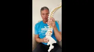 Balanced Posture - Physical Therapy Tip