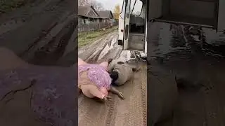 ПОМОГ НА СВОЮ ГОЛОВУ! 🛑 Жесткий финал