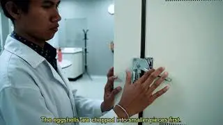 BIODIESEL PRODUCTION FROM WASTE COOKING OIL USING EGGSHELL WASTE AS CATALYST_INDONESIA