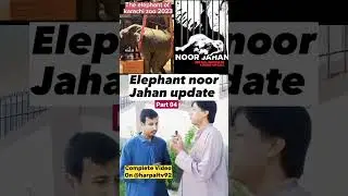 karachi zoo garden 2023 | the elephants health at karachi zoo