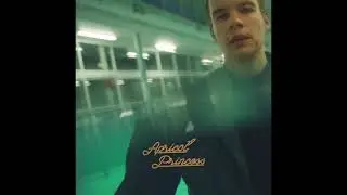 Rex Orange County - Sycamore Girl