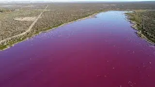 Argentine : un lagune color&eacute;e par une pollution industrielle en Patagonie
