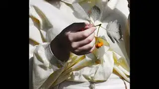 △Sco△ - Witch tree