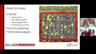 Ball Tech On Demand: At Risk Crops &ndash; Pansy Finishing (Part 3 of 3)