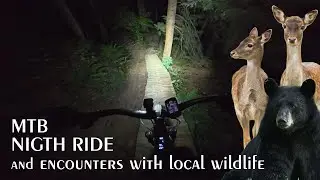 MTB Night Ride | Bear Encounter & Deer Sightings! 🐻🦌