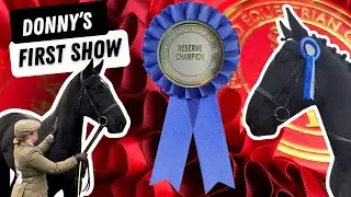 Donny’s first show! In hand showing - RESERVE CHAMPION