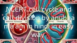 NCERT cell cycle and cell division|cell interphase or resting stage|#neet # biologywali anubha maam