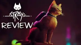 Stray Review