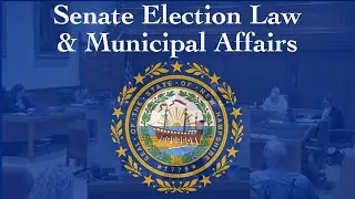 Senate Election Law and Municipal Affairs (01/24)