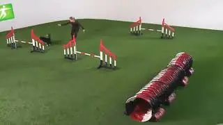 Dog agility - Different kinds of threadles