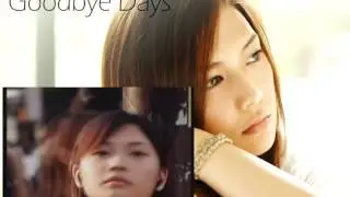 Goodbye Days - YUI ~2012 Vers.~ {COVER}