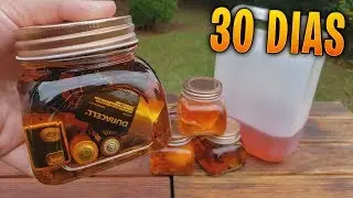 Deixando Coisas na GASOLINA por 30 dias !!! ( SURPREENDENTE EXPERIMENTO - ÁREA SECRETA  )