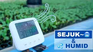 [ TUTORIAL 18# ] Cara sejukkan rumah semai l Humidifier