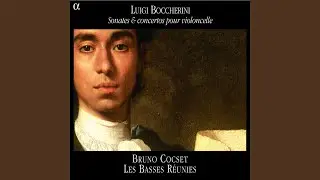 Cello Concerto in G Major, G. 480: I. Allegro