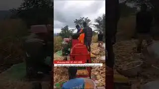 High-Efficiency Corn Threshing Machine with Dehusking & Shelling for Large Farm