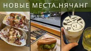 Новые места в Нячанге | утро, случайный маршрут и ночной жор