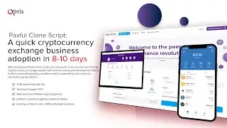 Start Your Cryptocurrency Business Today with the Paxful Clone Script
