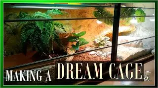 BREATHTAKING transformation of a REPTILE ENCLOSURE｜DIY Argus Monitor Cage