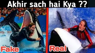 Viral Orca trainer death video is FAKE | Here&rsquo;s the REAL tragedy | Tasmia voice.