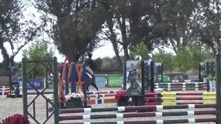 HMI Equestrian - Vintage
