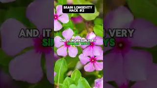 Brain-Boosting Herb for Focus, Memory & Mood