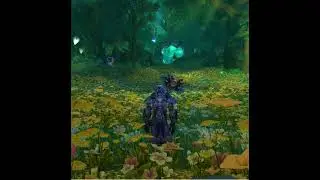 Midnight Beta - MM hunter The shadow Enclave Delve