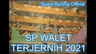 SP WALET 2021 TERJERNIH II Pemanggil Burung Walet Anti Gagal