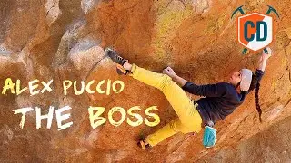 3 Times Alex Puccio Was The Boulder Boss | Climbing Daily Ep.1710