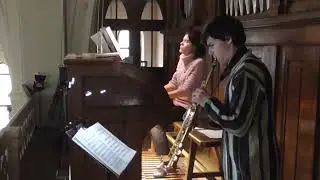 БАХ-Гуно Аве Мария. Три прелюдии Баха в переложениях Т.А. Докшицера.