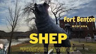Shep, Fort Benton, Montana