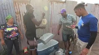 Jamaica Hidden Beauty Fish Haul