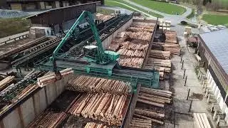 Port&aacute;lov&yacute; jeř&aacute;b na kulatinu Baljer-Zembrod