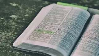 The Bible and Emotional Intelligence