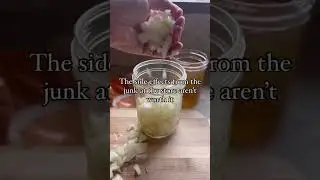 Holistic Cold and Flu