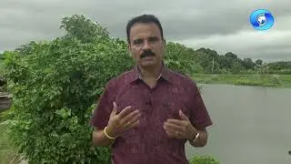 Krishi Darshan 23/01/2026