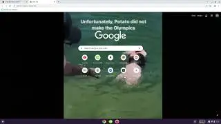 How to custom your chrome wallpaper (gif or just pic)