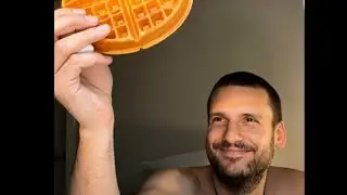 It&rsquo;s Waffle Time - Breeders Syndicate 