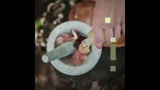 Hills Garden - plant-based beauty care